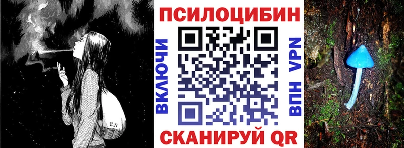дарнет шоп Жиздра Галлюциногенные грибы GOLDEN TEACHER