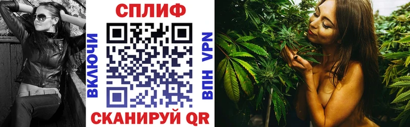 Конопля LSD WEED Жиздра